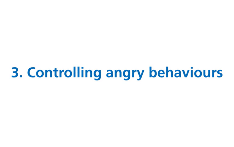 Thumbnail for Controlling angry behaviours