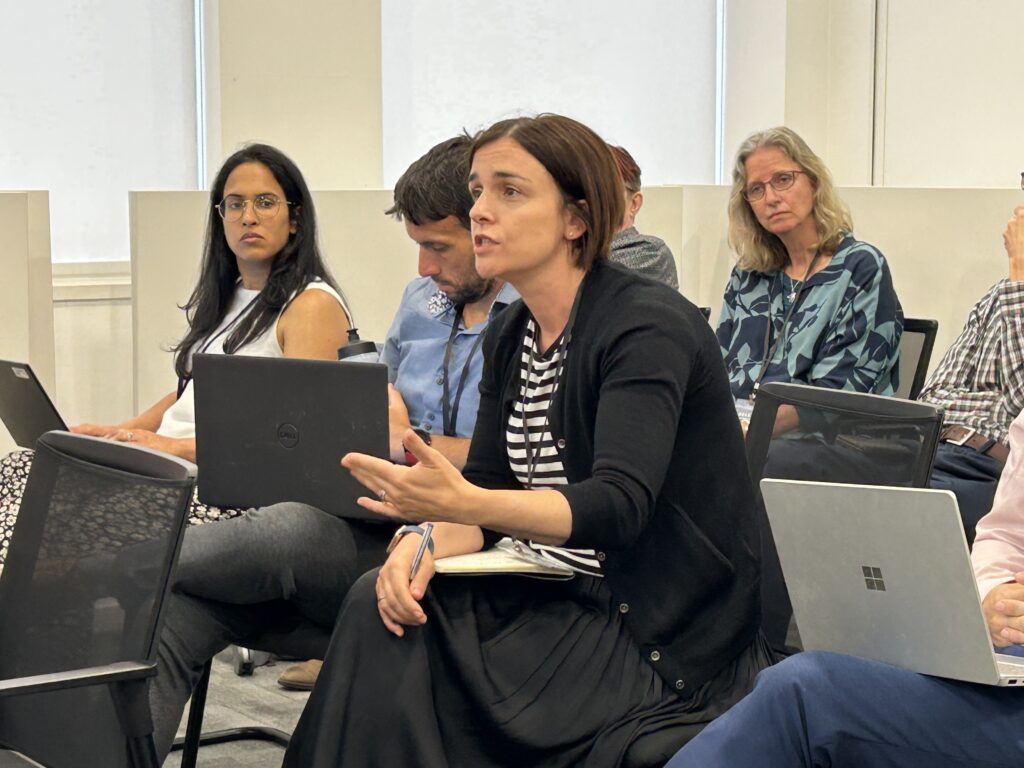 Presentation event of the Report: Shaping the Future of Deaf Mental Health 